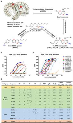 Novel TLR7/8 agonists promote activation of HIV-1 latent reservoirs and human T and NK cells